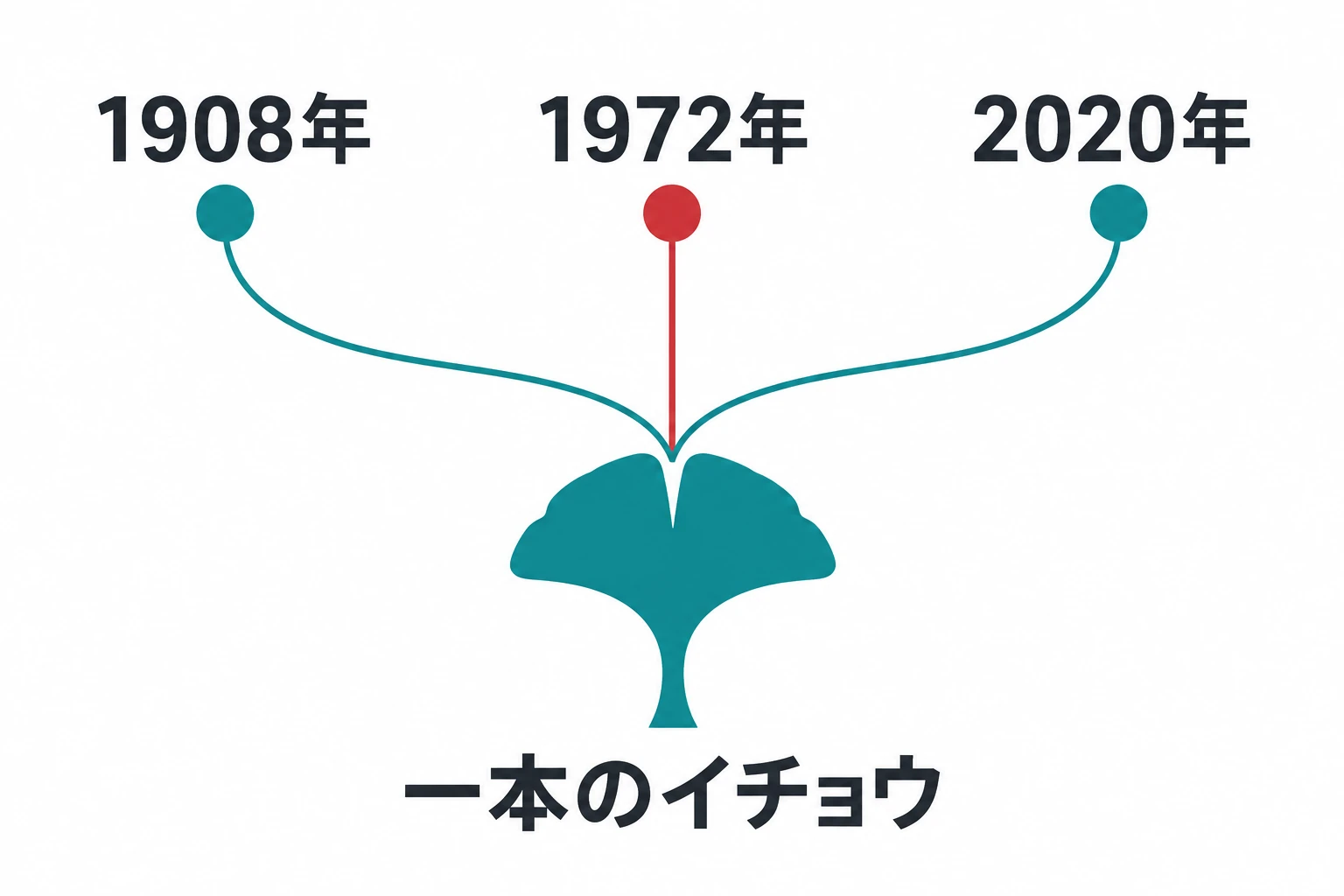 三つの時代は何がつなぐ？ 1908年、1972年、2020年、一本のイチョウを整理した説明図。